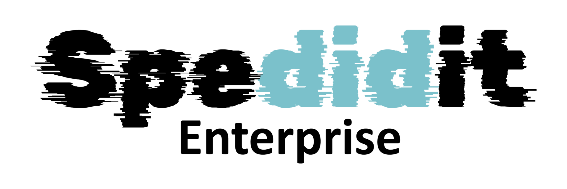 Spedidit Enterprise logo